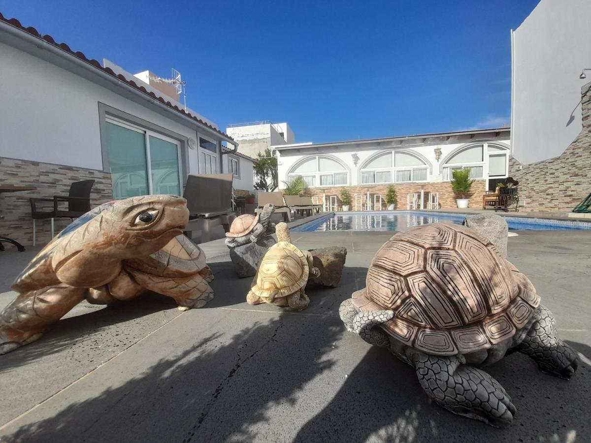 Tenerife Little Village S San Isidro (Tenerife) Exterior foto